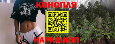 крисы Кимры