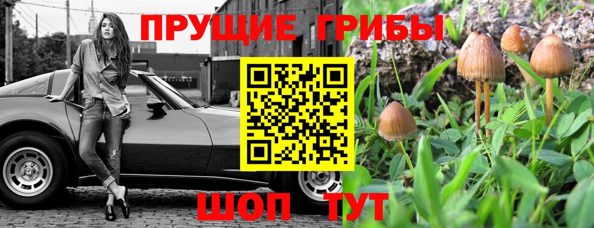 Галлюциногенные грибы Psilocybe  купить наркоту  Амурск  Вход с VPN 
